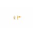 Gold with Diamond stud Earrings Online